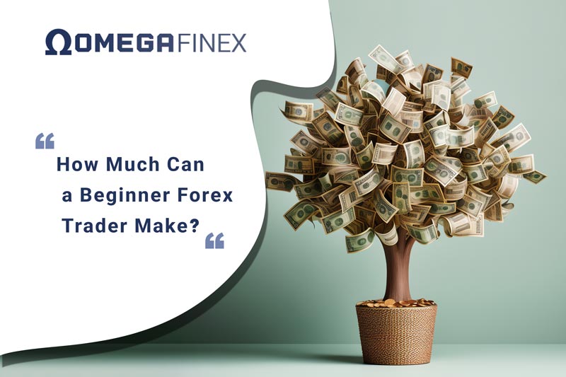 How Much Can a Beginner Forex Trader Make?