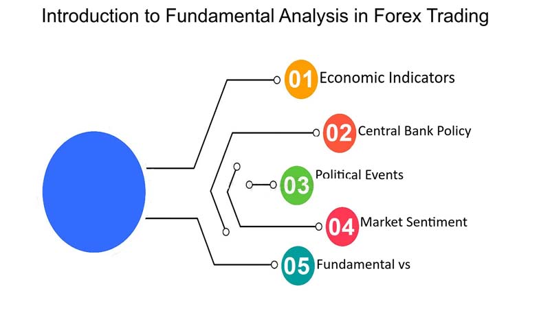 Basics of Fundamental Analysis in Forex