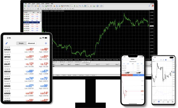 Understanding the MetaTrader 4 Interface