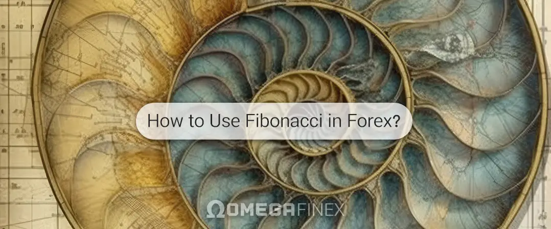 How to Use Fibonacci in Forex? Fibonacci Trading Guide