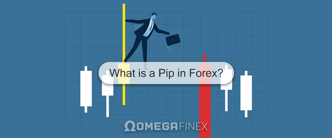 What is a Pip in Forex? 0 to 100 About Forex Pips