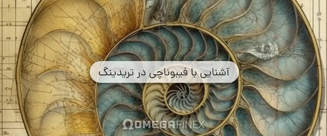 آشنایی با فیبوناچی در فارکس و تحلیل تکنیکال